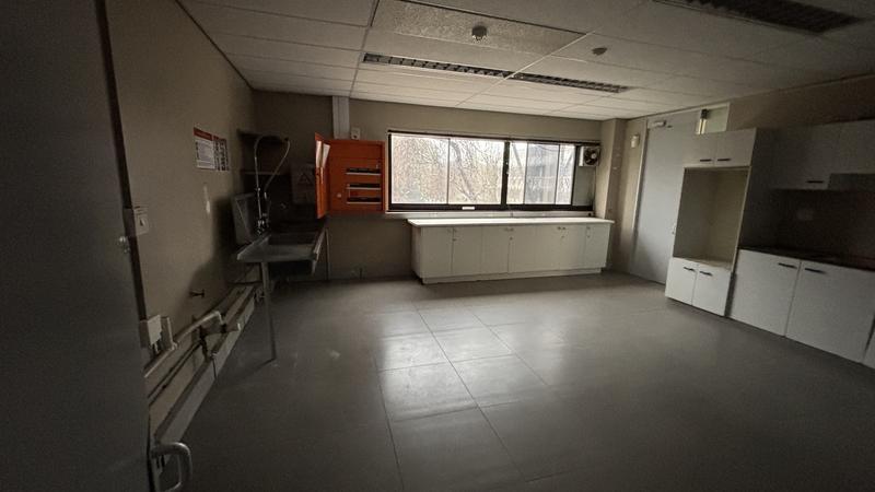 To Let commercial Property for Rent in Pinelands Western Cape